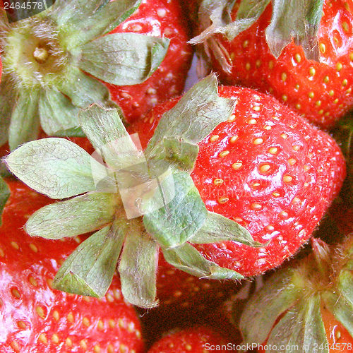 Image of Strawberry