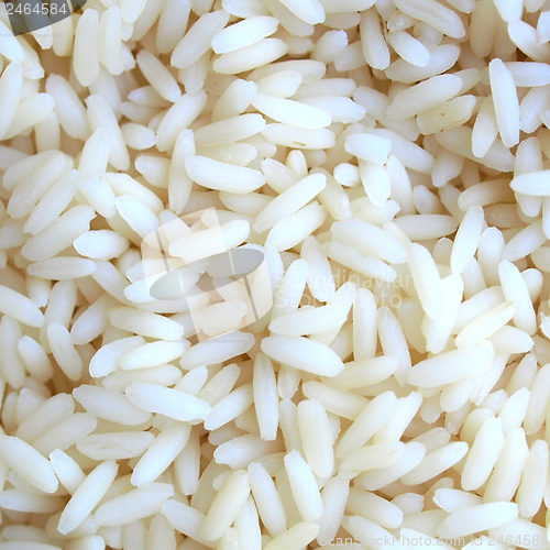 Image of Rice picture