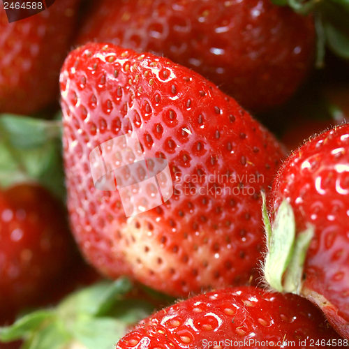 Image of Strawberry