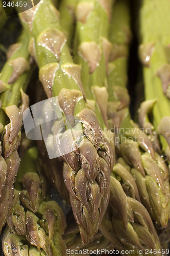 Image of asparagus