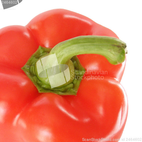 Image of Pepper