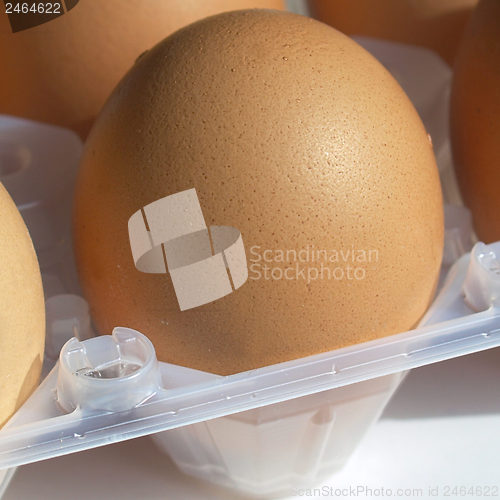 Image of Eggs picture