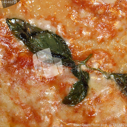 Image of Pizza Margherita