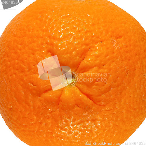 Image of Orange fruit