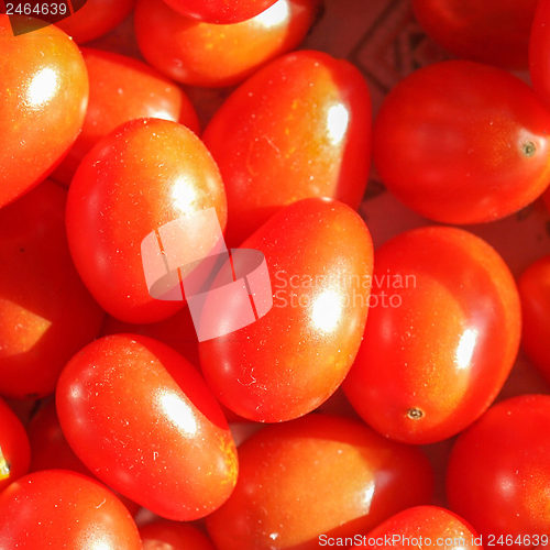 Image of Cherry tomato background