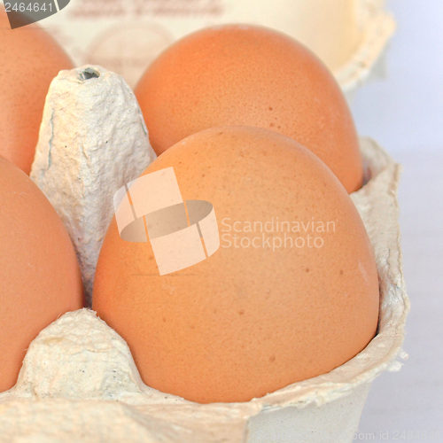 Image of Eggs