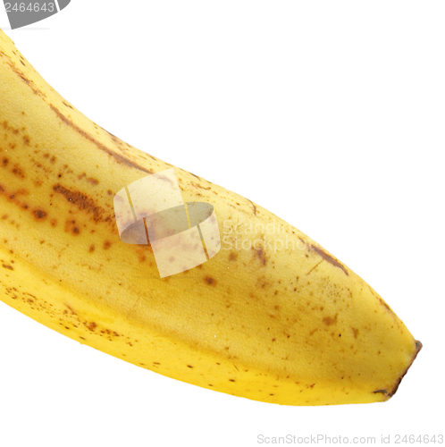 Image of Banana fruit