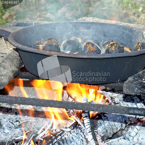 Image of Barbecue