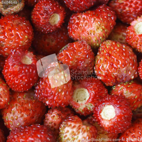 Image of Strawberries