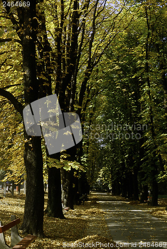 Image of Autumn in Park