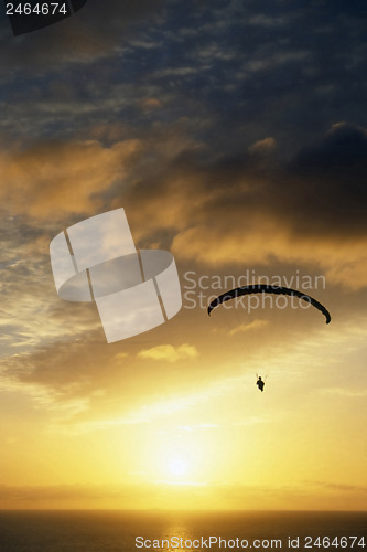 Image of Paraglider