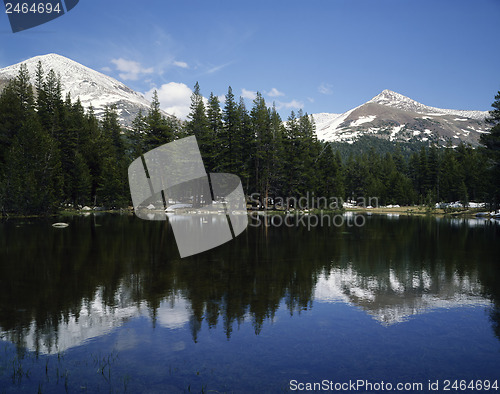 Image of Yosemite National Park