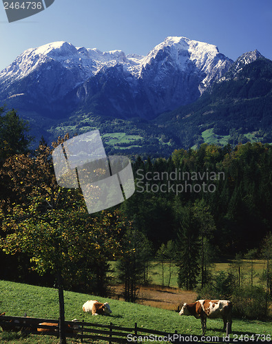 Image of German Alps in Autumn