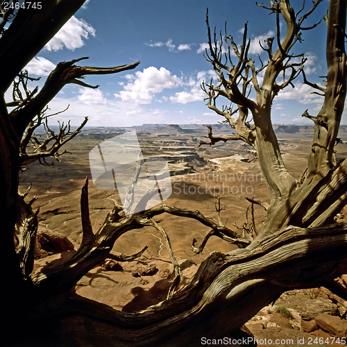 Image of Canyonlands