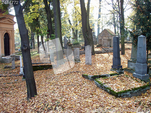 Image of Autumn on cemetery