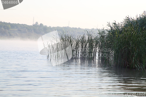 Image of  the fog