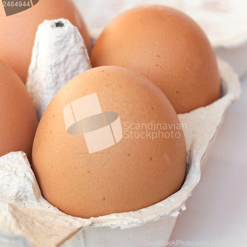 Image of Eggs picture