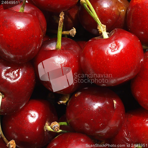 Image of Cherry