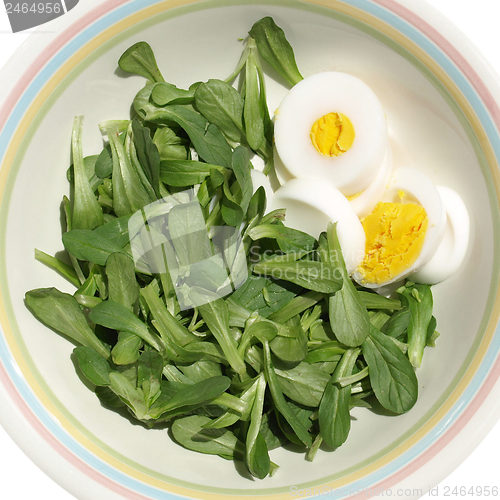 Image of Salad picture