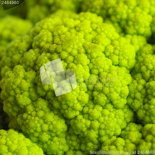 Image of Cauliflower