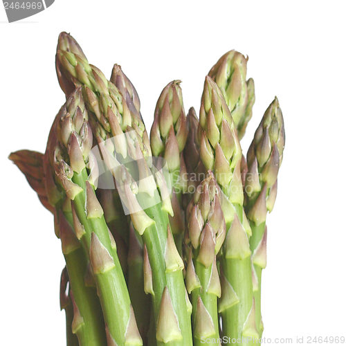 Image of Asparagus