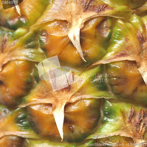 Image of Pineapple picture