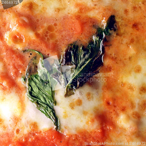 Image of Pizza picture