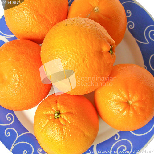 Image of Oranges picture