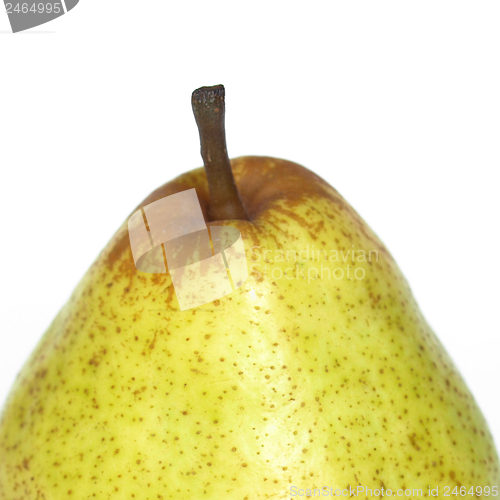 Image of Pear picture