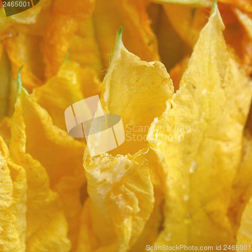 Image of Courgette flowers