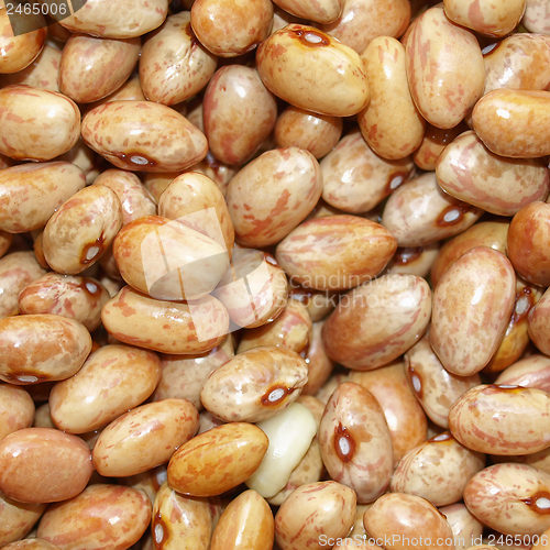 Image of Beans salad