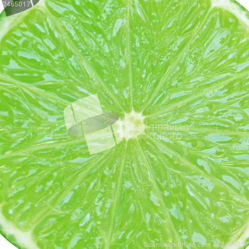 Image of Lime slice