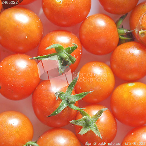 Image of Tomato