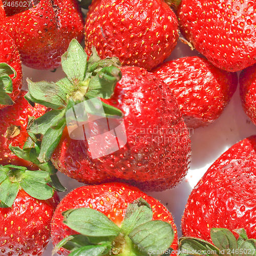 Image of Strawberries