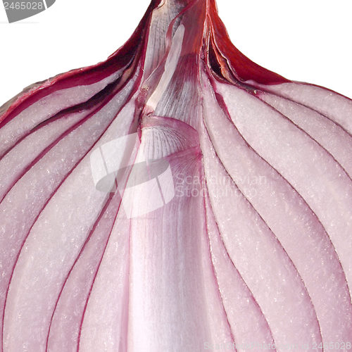 Image of Onion