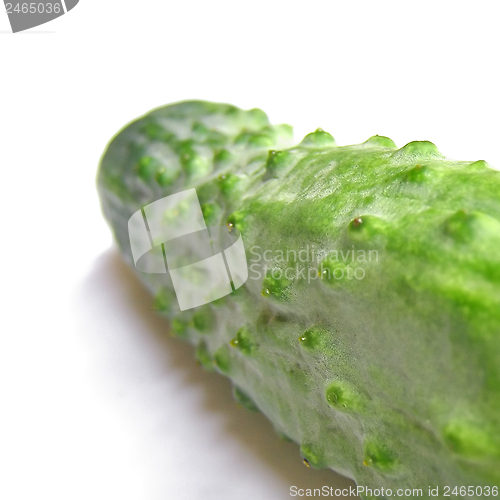 Image of Cucumber picture