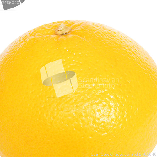 Image of Grapefruit picture