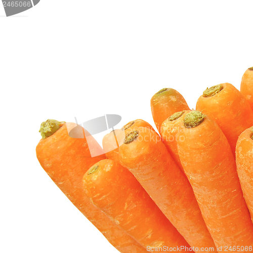 Image of Carrots