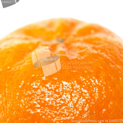 Image of Tangerine