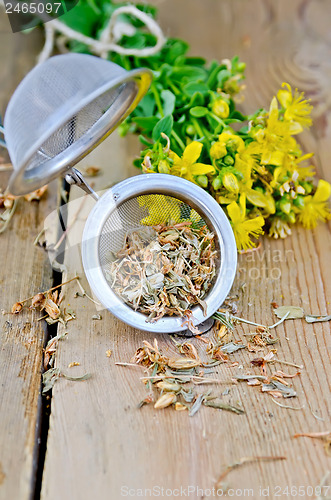 Image of Herbal tea from tutsan dry and fresh in a strainer