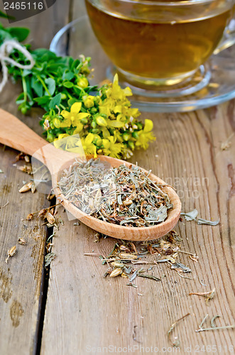 Image of Herbal tea from tutsan dry and fresh on the spoon