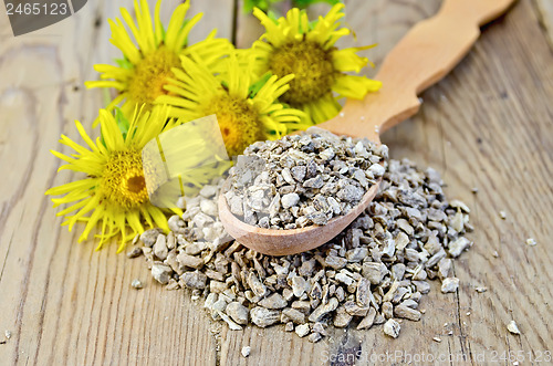 Image of Herbal tea made from the root of Elecampane on a spoon