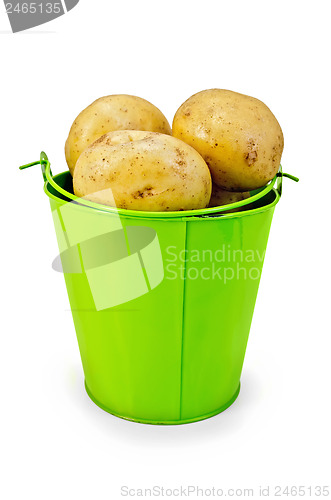 Image of Potatoes yellow in a green bucket