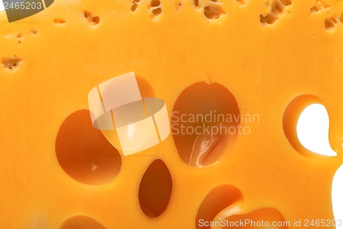 Image of Slice of cheese with hole