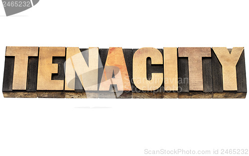 Image of tenacity word in wood type
