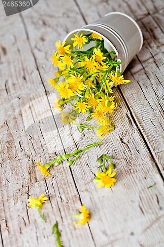 Image of wild yellow flowers in bucket 