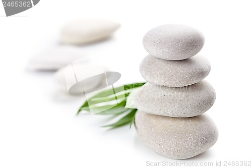 Image of stones and green leaves