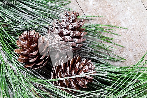 Image of christmas fir tree with pinecones