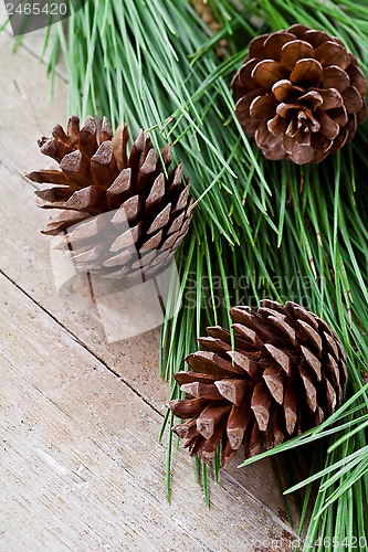 Image of christmas fir tree with pinecones