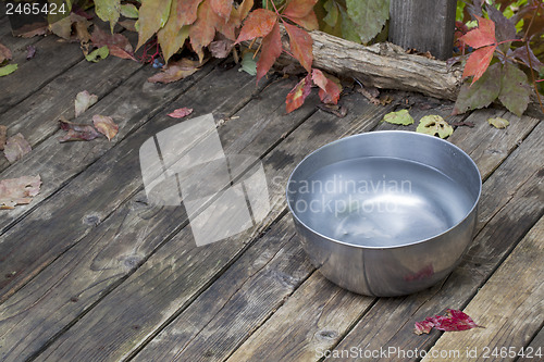 Image of dog water bowl